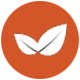 leaves-icon